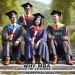 Why MBA Answer for Experienced Professionals-NotesMama